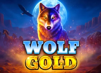 Wolf Gold Volatilite ve Kazanç Dağılım Analizi